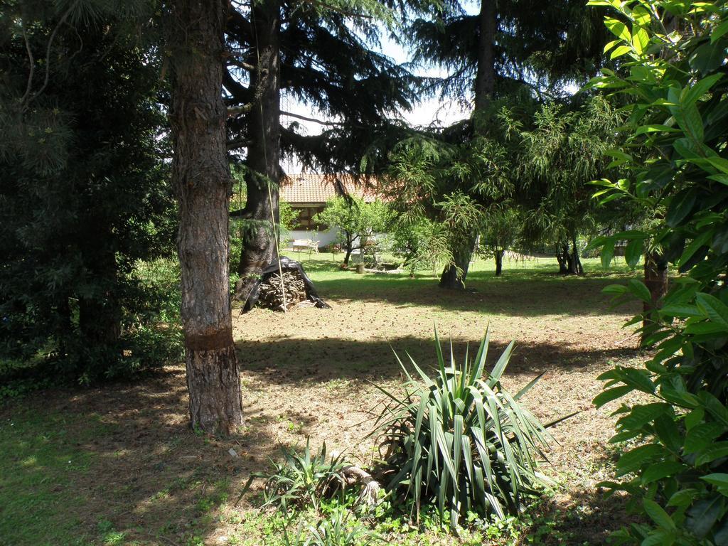 B&B Villa Mirella Casnate Con Bernate Экстерьер фото