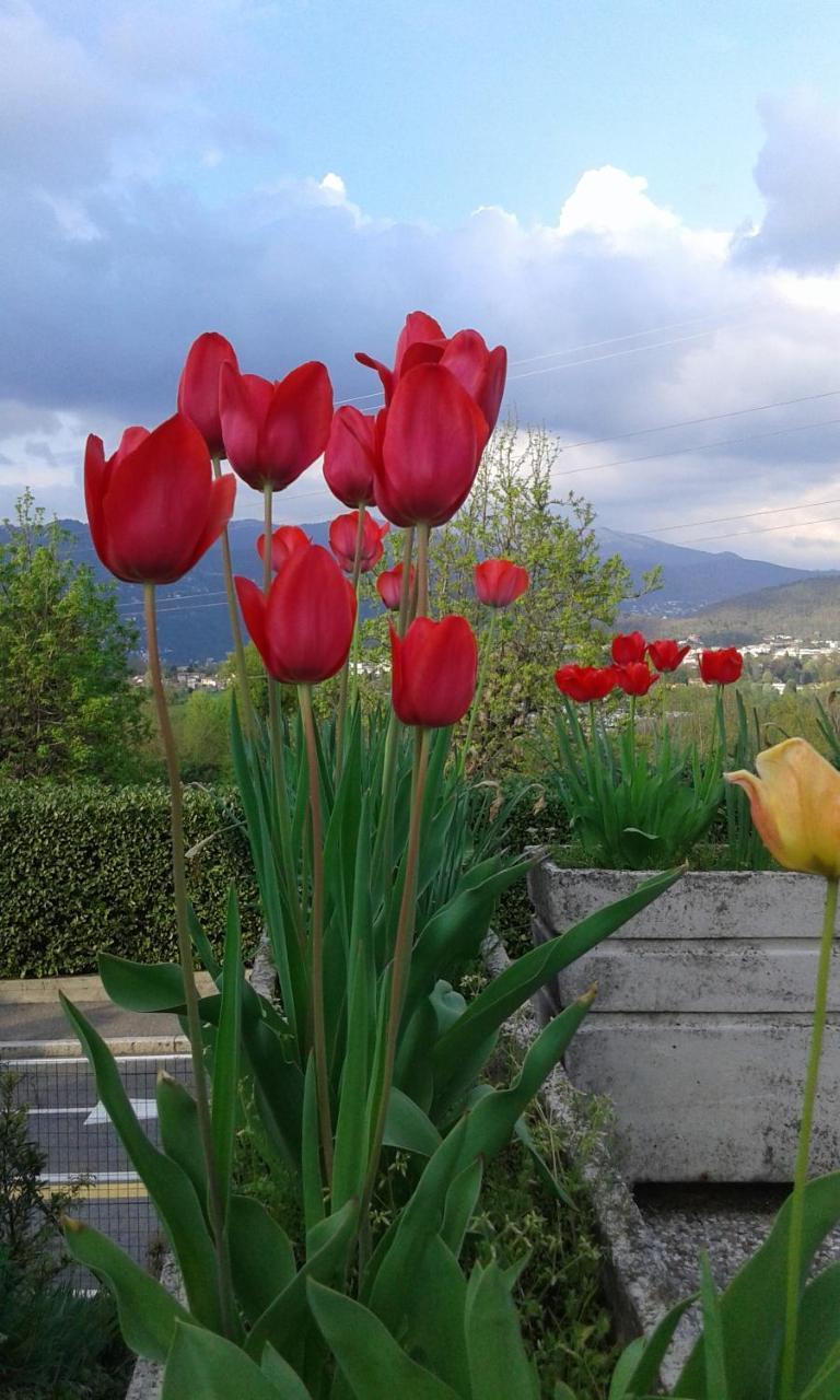 B&B Villa Mirella Casnate Con Bernate Экстерьер фото